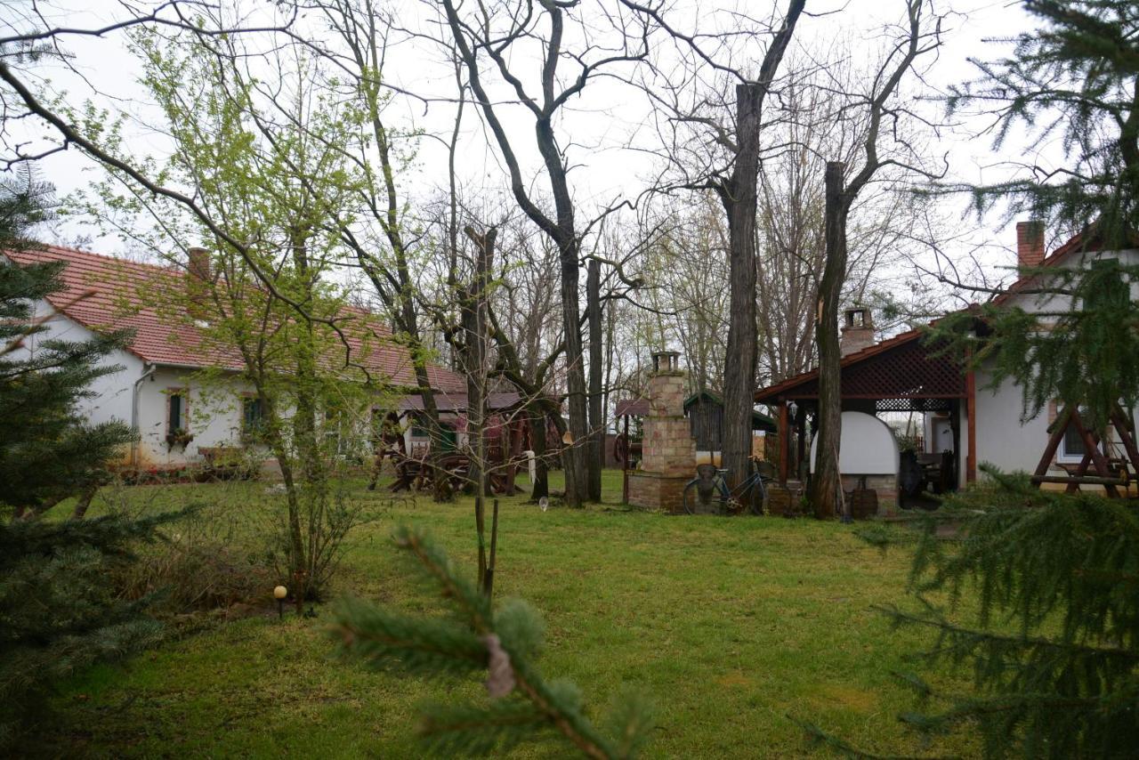 Nemeth Tanya Vendeghaz Guest House Pusztaszer Bagian luar foto
