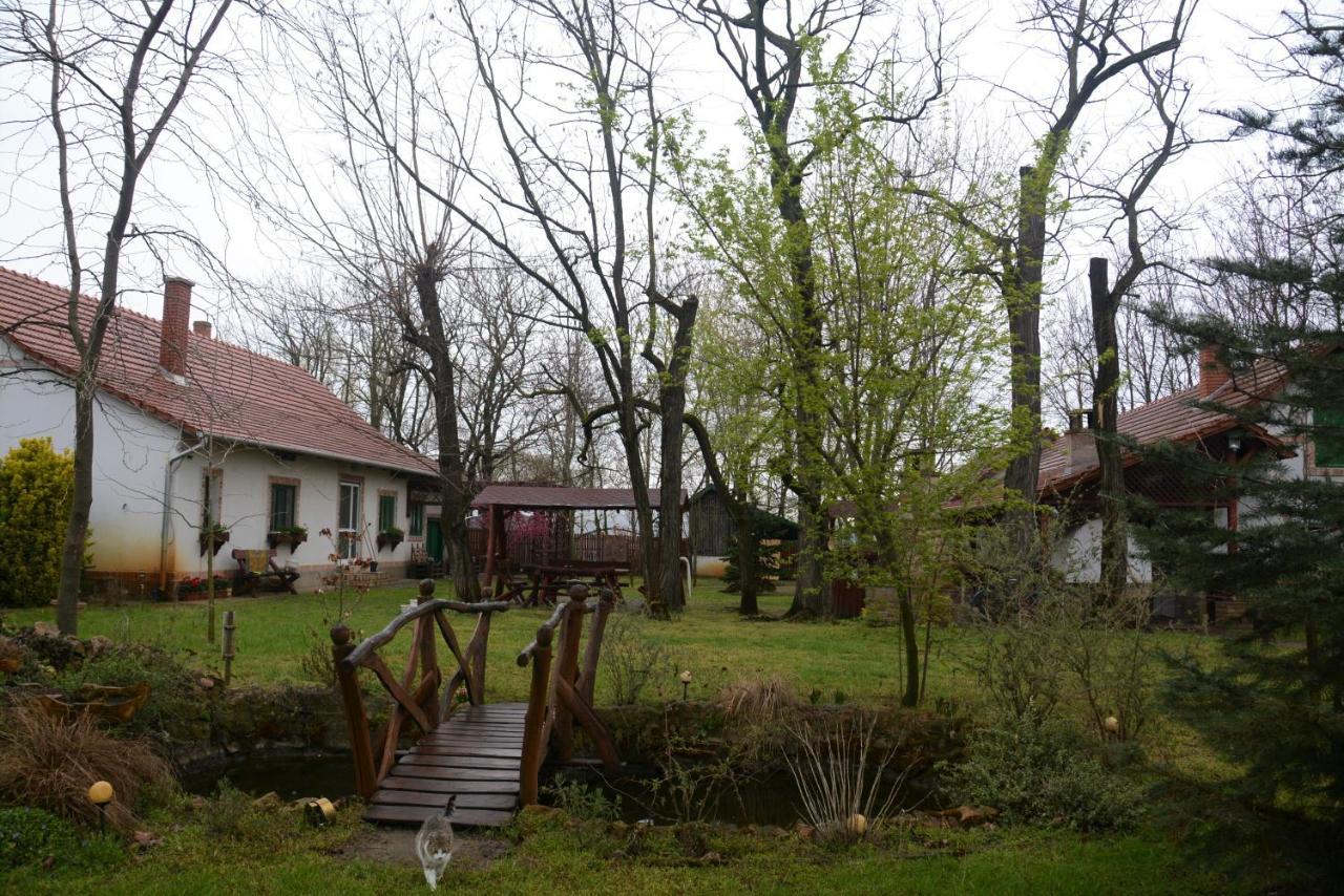 Nemeth Tanya Vendeghaz Guest House Pusztaszer Bagian luar foto