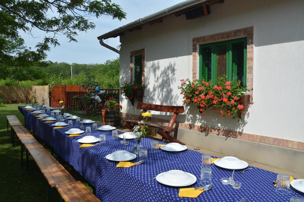 Nemeth Tanya Vendeghaz Guest House Pusztaszer Bagian luar foto