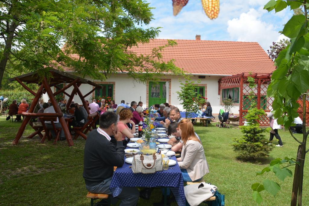 Nemeth Tanya Vendeghaz Guest House Pusztaszer Bagian luar foto