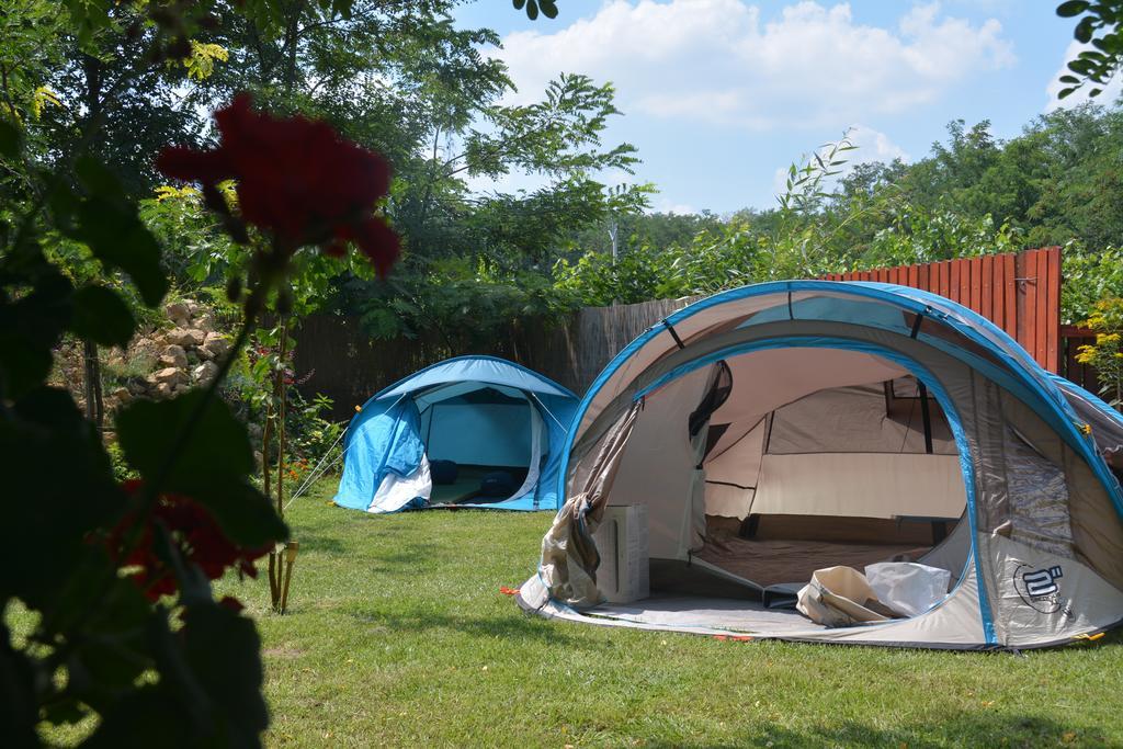 Nemeth Tanya Vendeghaz Guest House Pusztaszer Bagian luar foto
