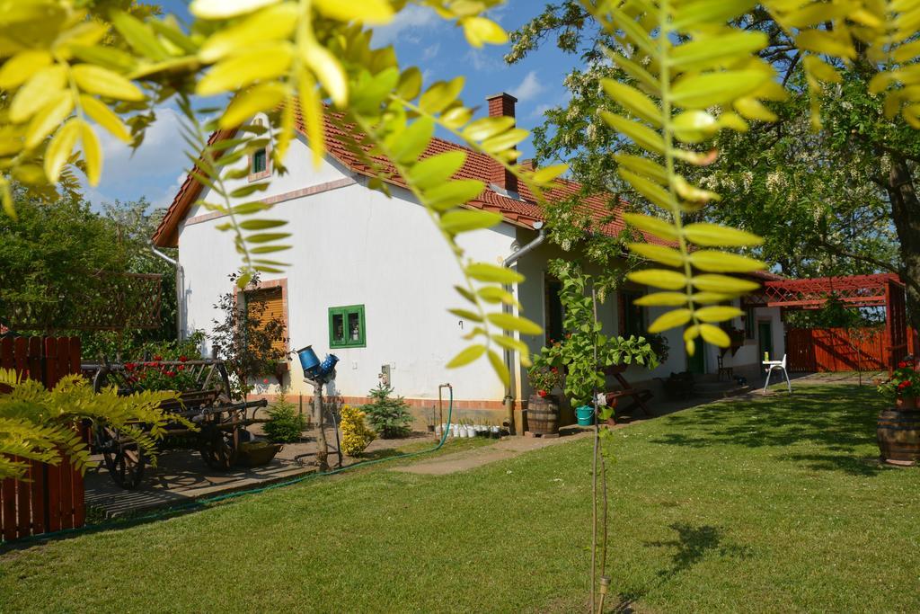Nemeth Tanya Vendeghaz Guest House Pusztaszer Bagian luar foto
