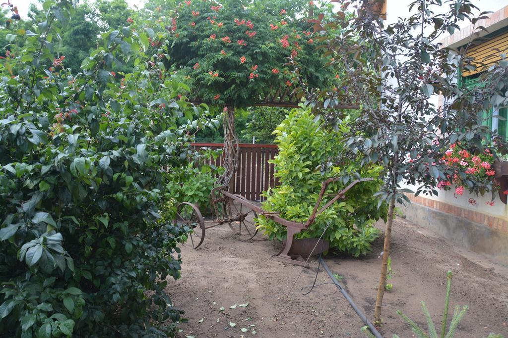 Nemeth Tanya Vendeghaz Guest House Pusztaszer Bagian luar foto