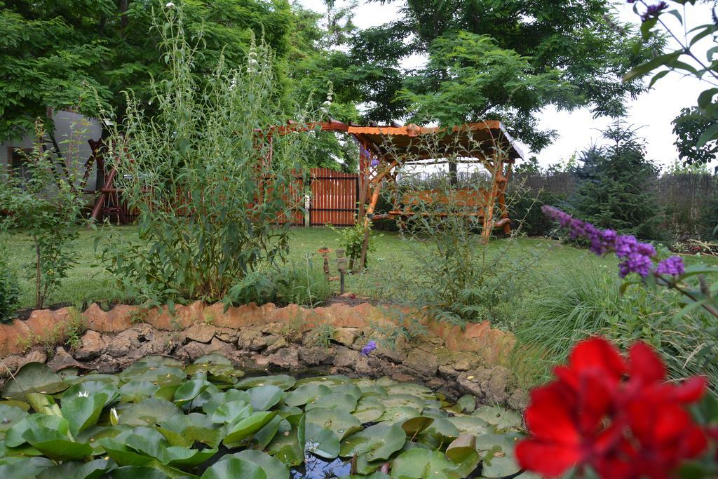 Nemeth Tanya Vendeghaz Guest House Pusztaszer Bagian luar foto